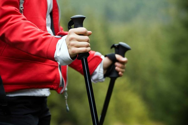 Can the Adoption of Nordic Walking Amplify Cardiovascular Fitness in Middle-Aged Adults?